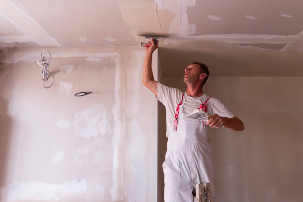 Best Drywall Removal and Disposal  in Cos Co, CT